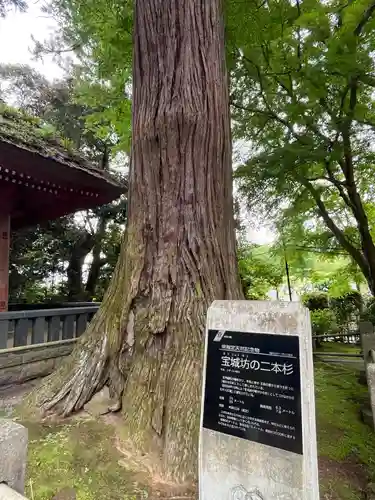 宝城坊(神奈川県)
