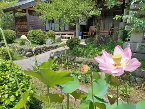慶性院(東京都)