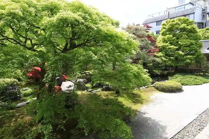 正傳(正伝)永源院(京都府)