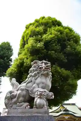荻窪白山神社の狛犬