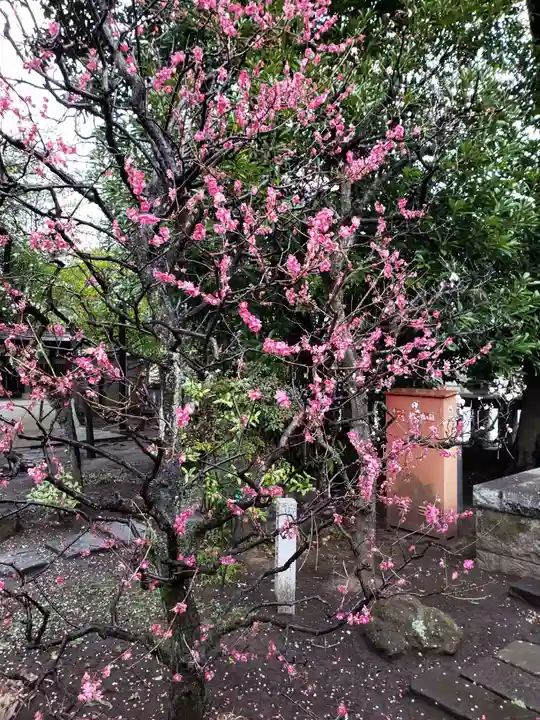 布多天神社(東京都)