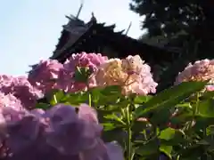 白山神社の建物その他