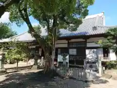 大樹寺（松安院大樹寺）の自然