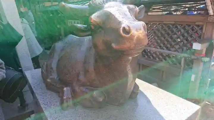 湯島天満宮の狛犬