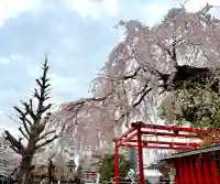 榴岡天満宮の{uncategorized: "未分類", other: "その他", undefined: "問題あり", building: "その他建物", grave: "お墓", sacred_gate: "鳥居", guardian: "狛犬", statue: "像", buddha: "仏像", history: "歴史", nature: "自然", garden: "庭園", animal: "動物", pagoda: "塔", temizu: "手水舎", mountain_gate: "山門・神門", sanctuary: "本殿・本堂", subordinate: "末社・摂社", art: "芸術", scenery: "景色", jizo: "地蔵", ema: "絵馬", goshuin: "御朱印", omikuji: "おみくじ", items: "授与品その他", amulet: "お守り", goshuincho: "御朱印帳", eats: "食事", festival: "お祭り", votive_dance: "神楽", shichigosan: "七五三参", wedding: "結婚式", experience: "体験その他", initially: "初詣", around: "周辺", anti_infection: "感染症対策"}