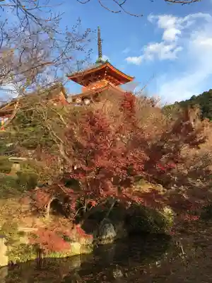 清水寺(京都府)