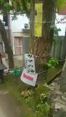 筑波山神社の建物その他