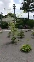 常陸第三宮　吉田神社の庭園