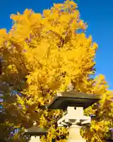 鑁阿寺(栃木県)