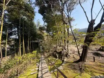 金地院の{uncategorized: "未分類", other: "その他", undefined: "問題あり", building: "その他建物", grave: "お墓", sacred_gate: "鳥居", guardian: "狛犬", statue: "像", buddha: "仏像", history: "歴史", nature: "自然", garden: "庭園", animal: "動物", pagoda: "塔", temizu: "手水舎", mountain_gate: "山門・神門", sanctuary: "本殿・本堂", subordinate: "末社・摂社", art: "芸術", scenery: "景色", jizo: "地蔵", ema: "絵馬", goshuin: "御朱印", omikuji: "おみくじ", items: "授与品その他", amulet: "お守り", goshuincho: "御朱印帳", eats: "食事", festival: "お祭り", votive_dance: "神楽", shichigosan: "七五三参", wedding: "結婚式", experience: "体験その他", initially: "初詣", around: "周辺", anti_infection: "感染症対策"}