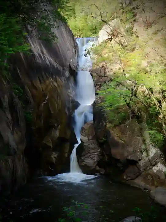金櫻神社の{uncategorized: "未分類", other: "その他", undefined: "問題あり", building: "その他建物", grave: "お墓", sacred_gate: "鳥居", guardian: "狛犬", statue: "像", buddha: "仏像", history: "歴史", nature: "自然", garden: "庭園", animal: "動物", pagoda: "塔", temizu: "手水舎", mountain_gate: "山門・神門", sanctuary: "本殿・本堂", subordinate: "末社・摂社", art: "芸術", scenery: "景色", jizo: "地蔵", ema: "絵馬", goshuin: "御朱印", omikuji: "おみくじ", items: "授与品その他", amulet: "お守り", goshuincho: "御朱印帳", eats: "食事", festival: "お祭り", votive_dance: "神楽", shichigosan: "七五三参", wedding: "結婚式", experience: "体験その他", initially: "初詣", around: "周辺", anti_infection: "感染症対策"}