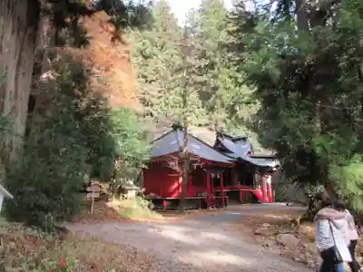 花園神社の本殿・本堂