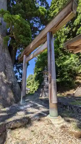 杉本神明神社の鳥居