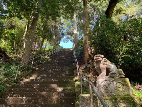 春日神社の狛犬