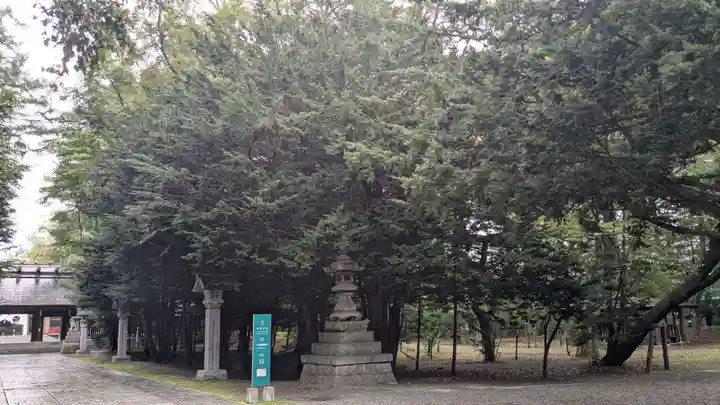 帯廣神社の自然