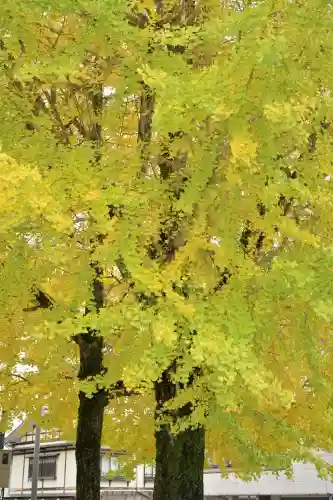 普光寺(新潟県)