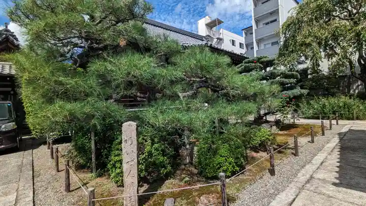 西正寺(京都府)