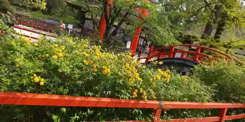 賀茂御祖神社（下鴨神社）(京都府)