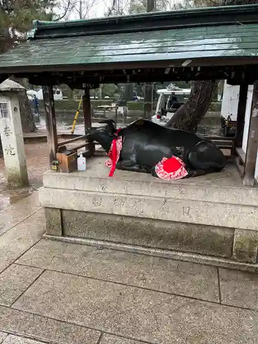 北野天満宮(京都府)