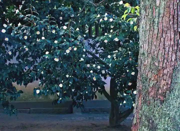 三津厳島神社(愛媛県)
