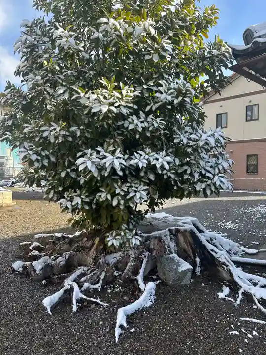都恵神社(滋賀県)