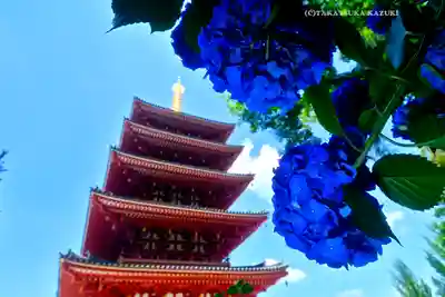 高幡不動尊　金剛寺(東京都)