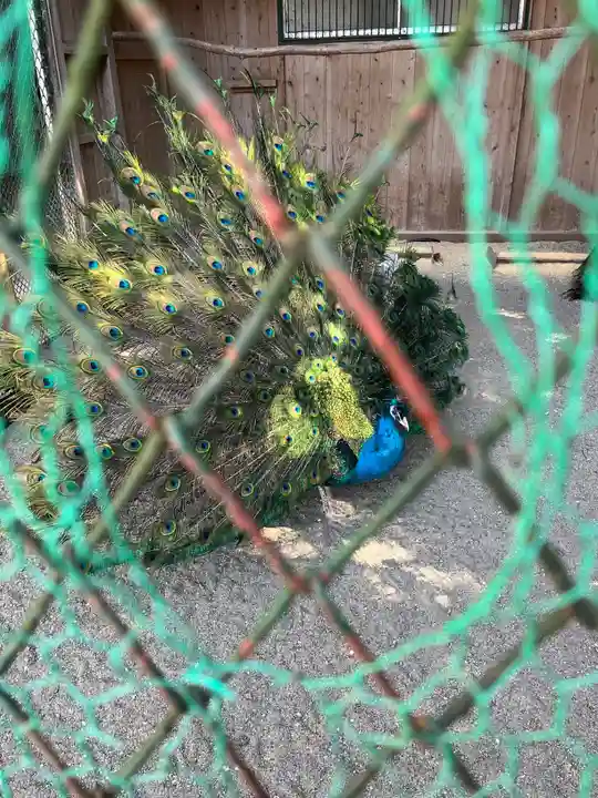 岩槻久伊豆神社(埼玉県)