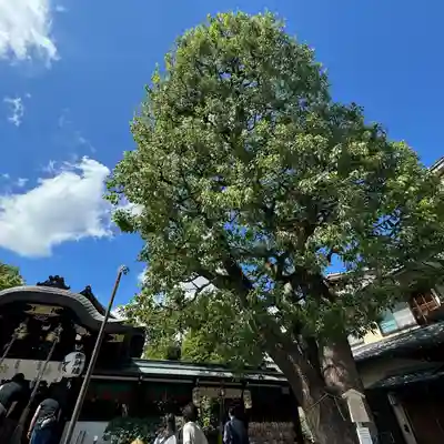 晴明神社(京都府)