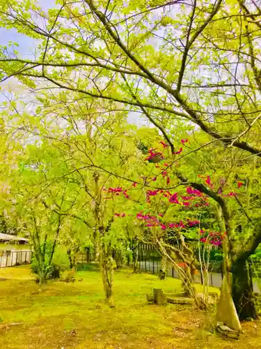 布施薬師堂の庭園