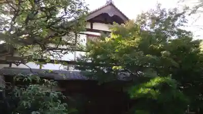 祥雲寺の本殿・本堂
