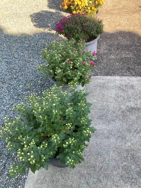 神田寺(神奈川県)