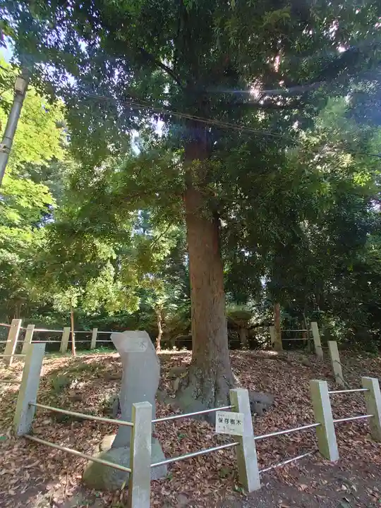 無量光寺(神奈川県)