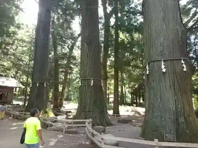 河口浅間神社(山梨県)