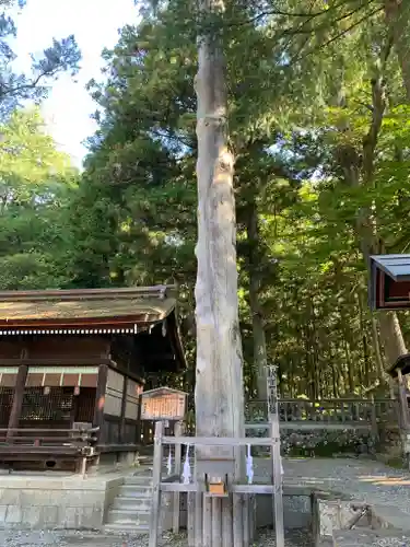 諏訪大社下社秋宮の自然