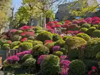 根津神社(東京都)