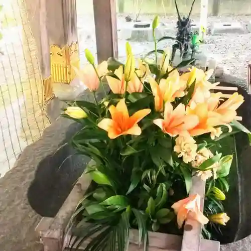 彌彦神社　(伊夜日子神社)の手水舎