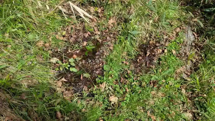 稲荷神社の庭園