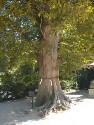 素鵞神社(茨城県)
