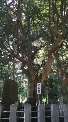 医王寺のその他建物