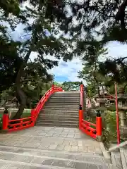 住吉大社(大阪府)