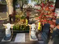 諫早神社(九州総守護 四面宮)(長崎県)