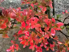 滑川神社 - 仕事と子どもの守り神の景色