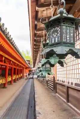 春日大社(奈良県)