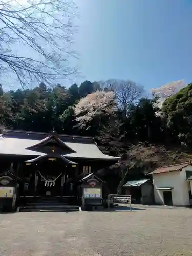 温泉神社〜いわき湯本温泉〜の本殿・本堂