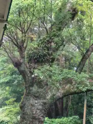 久能山東照宮(静岡県)