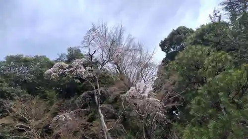 出雲大神宮(京都府)