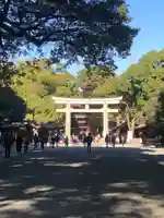 明治神宮の鳥居