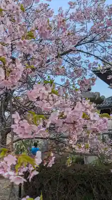 清凉寺(京都府)