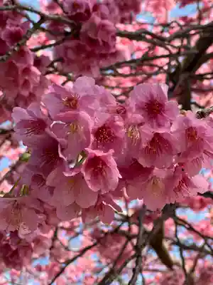 かっぱの寺 栖足寺(静岡県)