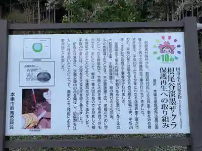 淡墨観音の歴史